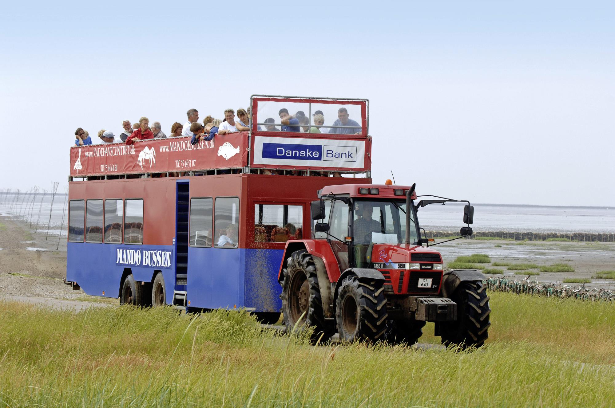 Nordseeinsel Mandø